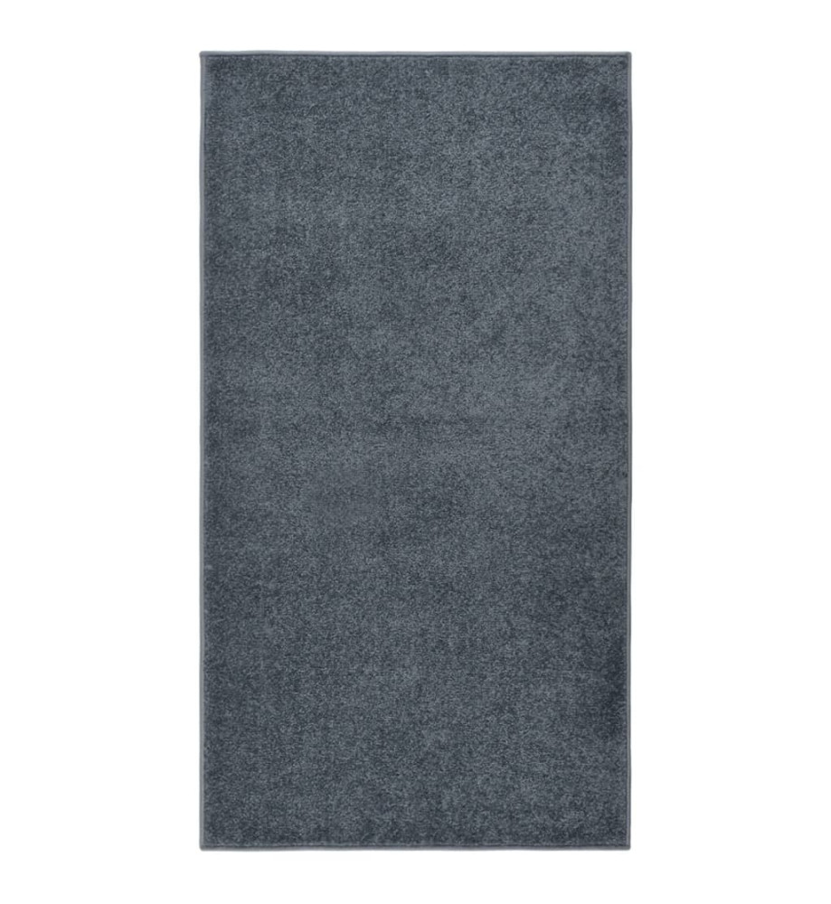 Tapis à poils courts 80x150 cm Anthracite Tapis à poils courts 80x150 cm Anthracite