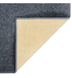 Tapis à poils courts 80x150 cm Anthracite