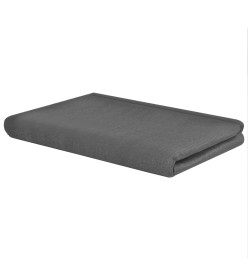 Tapis de tente 250 x 500 cm Anthracite