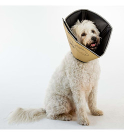 All Four Paws Collier animaux de compagnie Comfy Cone XL 30 cm Brun