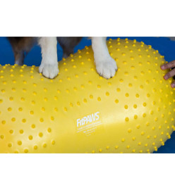 FitPAWS Plate-forme d'équilibre pour animaux de compagnie 40 cm Jaune