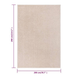 Tapis à poils courts 200x290 cm Beige foncé