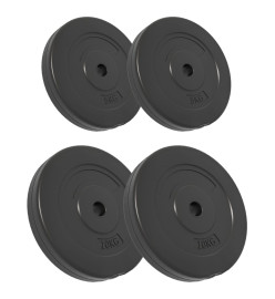 Plaques de poids 4 pcs 30 kg Béton