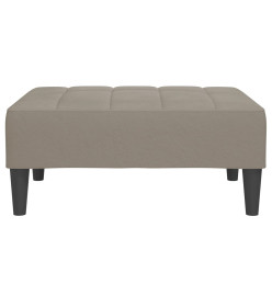 Repose-pied Gris clair 78x56x32 cm Velours