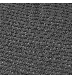 Tapis de tente 250 x 600 cm Anthracite