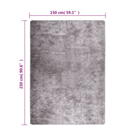 Tapis lavable gris 150x230 cm antidérapant