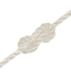 Corde de travail Blanc 8 mm 250 m polypropylène