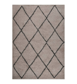 Tapis shaggy à poils longs Beige et anthracite 120x170 cm