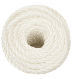 Corde de travail Blanc 10 mm 25 m polypropylène