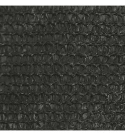 Voile d'ombrage 160 g/m² Anthracite 2,5x2,5x3,5 m PEHD