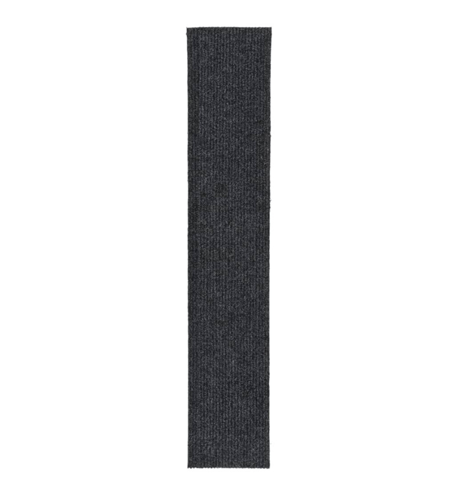 Tapis 100x500 cm Anthracite Tapis 100x500 cm Anthracite