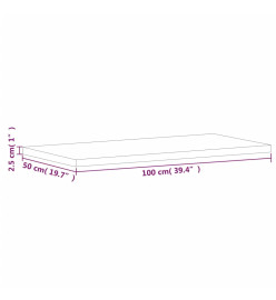 Comptoir de salle de bain 100x50x2,5 cm bois massif de hêtre