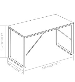 Bureau d'ordinateur Blanc 120x60x73 cm