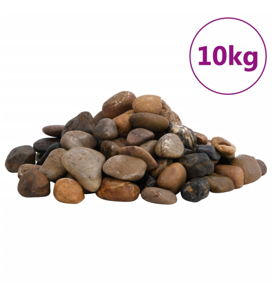 Galets polis 10 kg multicolores 2-5 cm