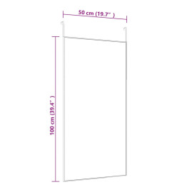 Miroir de porte Doré 50x100 cm Verre et aluminium