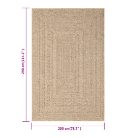 Tapis 200x290 cm aspect jute intérieur et extérieur