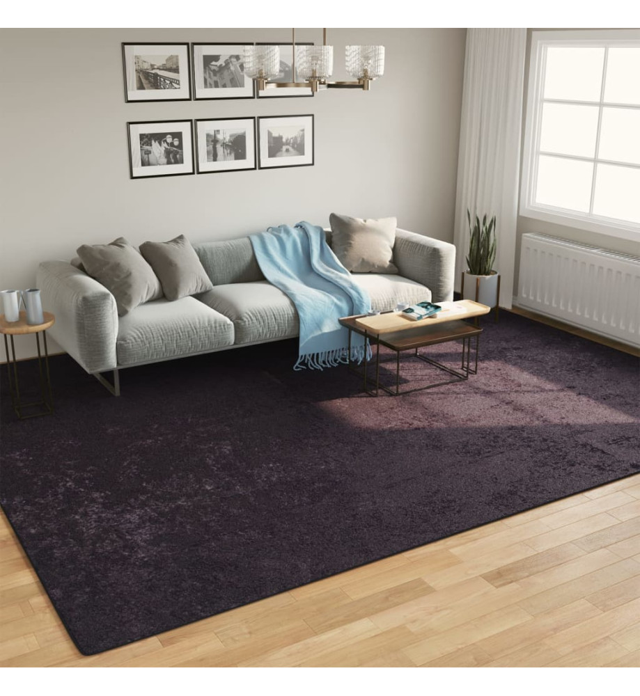 Tapis lavable anthracite 400x300 cm antidérapant Tapis lavable anthracite 400x300 cm antidérapant