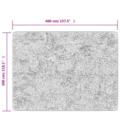 Tapis lavable anthracite 400x300 cm antidérapant