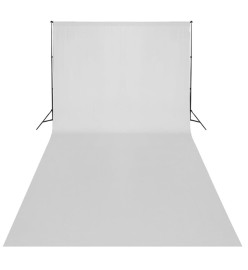 Kit de studio photo avec lampes toile de fond et réflecteur