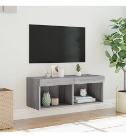 Meuble TV avec lumières LED sonoma gris 80x30x30 cm