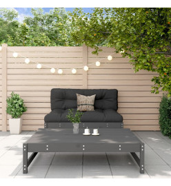 Salon de jardin 2 pcs gris bois massif de pin