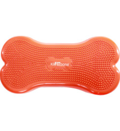 FitPAWS Plate-forme d'équilibre pour animaux de compagnie 58x29x10 cm