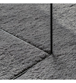 Tapis à poils courts doux et lavable anthracite Ø 80 cm