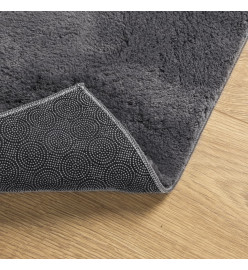 Tapis à poils courts doux et lavable anthracite 60x110 cm