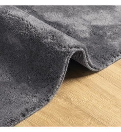 Tapis à poils courts doux et lavable anthracite 60x110 cm