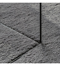 Tapis à poils courts doux et lavable anthracite 60x110 cm