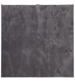 Tapis à poils courts doux et lavable anthracite 160x160 cm