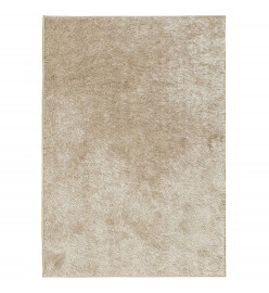 Tapis ISTAN à poils longs aspect brillant beige 160x230 cm