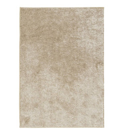 Tapis ISTAN à poils longs aspect brillant beige 120x170 cm