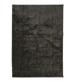 Tapis ISTAN à poils longs aspect brillant anthracite 120x170 cm