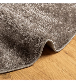 Tapis ISTAN à poils longs aspect brillant gris Ø 120 cm