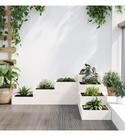 Jardinière 4 niveaux 106x104,5x36 cm blanc bois de pin massif