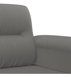 Ensemble de canapés 2 pcs coussins Gris foncé Tissu microfibre