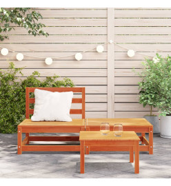 Canapé de jardin sans accoudoirs repose-pieds bois pin massif