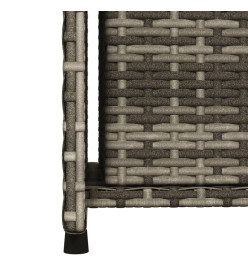 Armoire de rangement de jardin gris 50x55x115 cm résine tressée