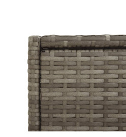 Armoire de rangement de jardin gris 55x55x111 cm résine tressée
