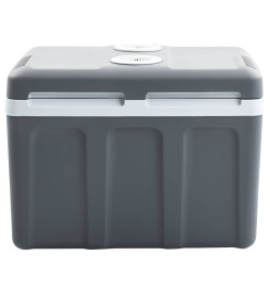 Glacière portable thermoélectrique 40 L 12 V 230 V E