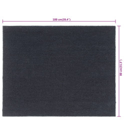 Tapis de porte gris foncé 80x100 cm fibre de coco touffeté