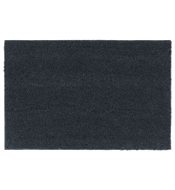 Tapis de porte gris foncé 40x60 cm fibre de coco touffeté