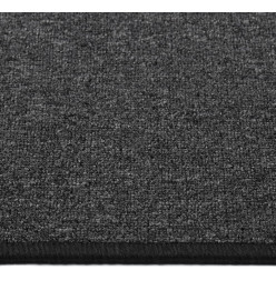 Tapis de couloir Anthracite 80x150 cm