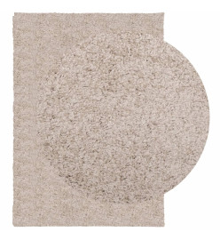 Tapis shaggy à poils longs moderne beige 120x170 cm