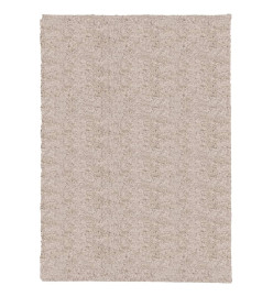 Tapis shaggy à poils longs moderne beige 200x280 cm