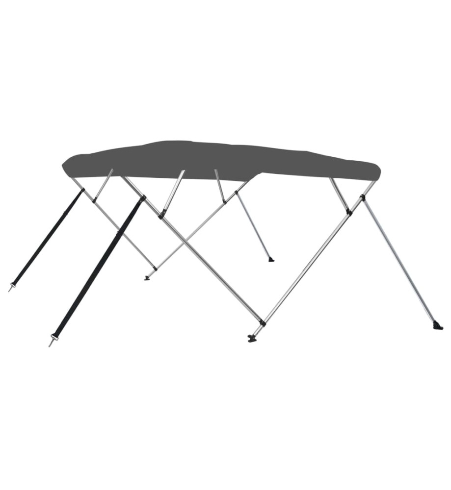 Auvent bimini à 4 arceaux Anthracite 243x196x137 cm