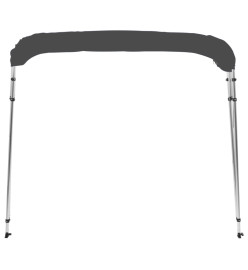 Auvent bimini à 4 arceaux Anthracite 243x196x137 cm