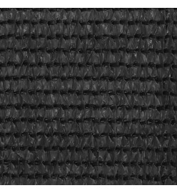 Tapis de tente 400x700 cm Anthracite