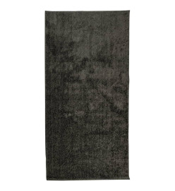 Tapis ISTAN à poils longs aspect brillant anthracite 100x200 cm